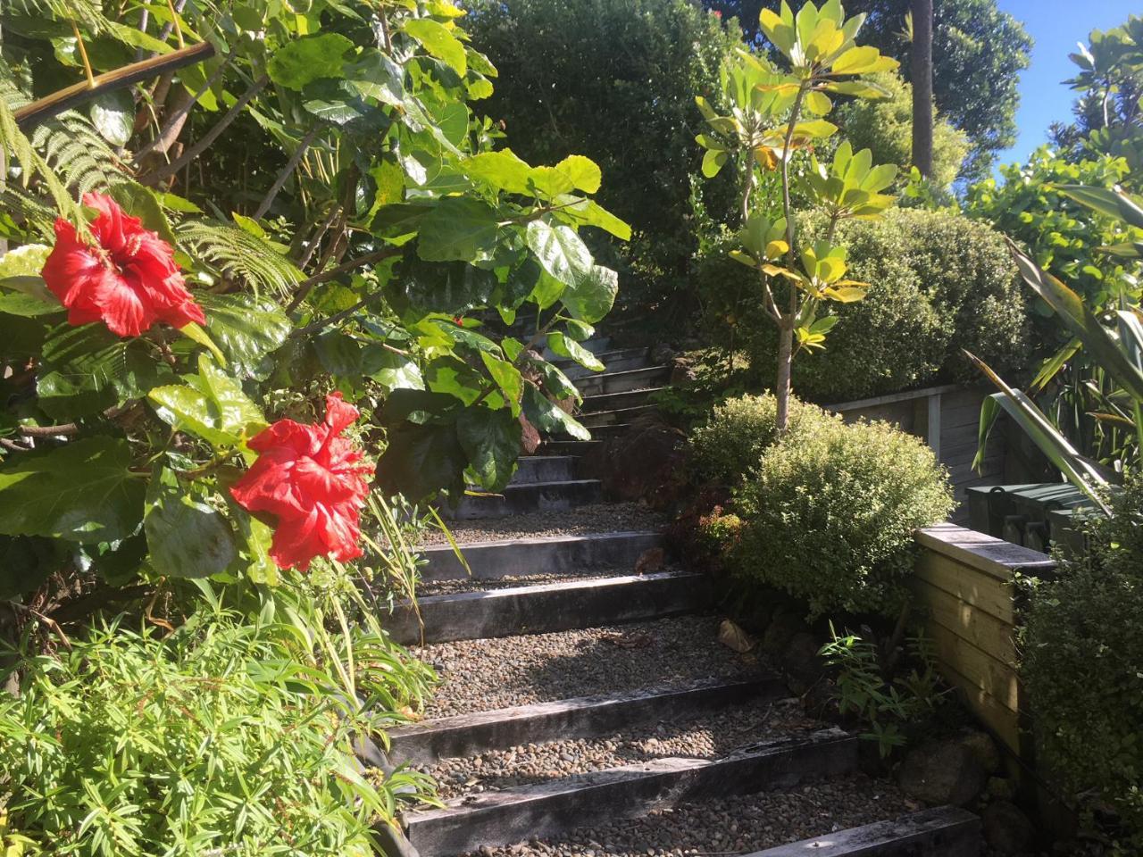 Fantail B&B Tairua Luaran gambar